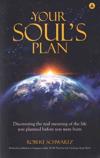 Your Soul's Plan: Discovering the Real Meaning of the Life You Planned Before You were Born