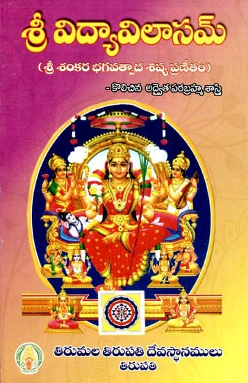 శ్రీవిద్యా విలాసమ్: Srividya Vilasam (A Disciple of Sri Shankara Bhagavatpada) in Telugu