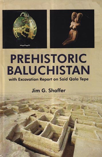 Prehistoric Baluchistan: With Excavation Report on Said Qala Tepe