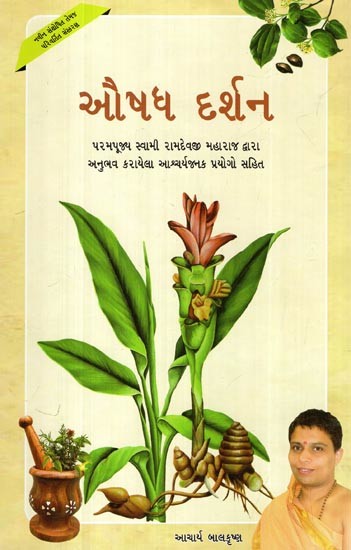 ઔષધ દર્શન: Aushadh Darshan- Including Experienced Miraculous Experiments of Incurable Diseases Told by Param Pujya Swami Ramdevji Maharaj (Gujarati)