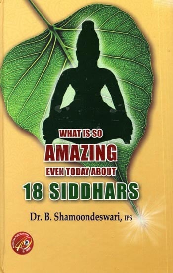 What is So Amazing Even Today About 18 Siddhars