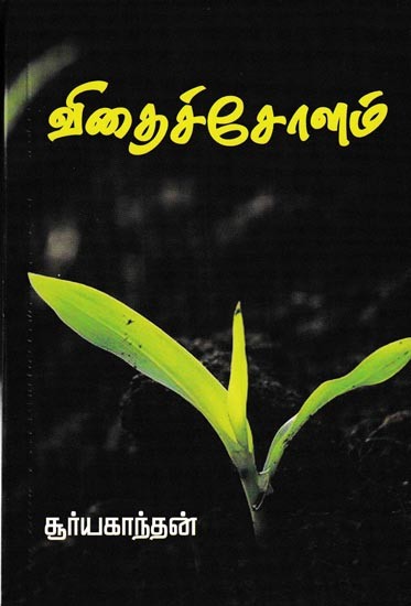 விதைச்சோளம்: Vidhai Cholam (Tamil)