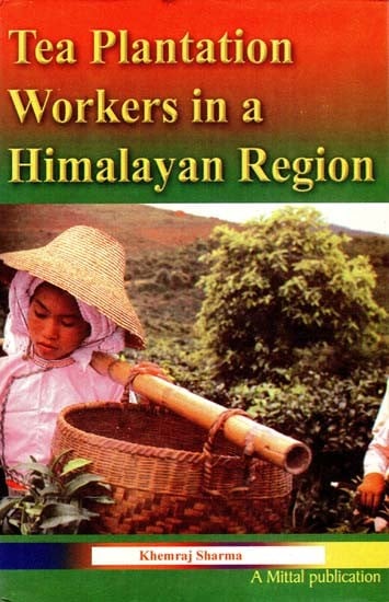 Tea Plantation Workers in a Himalayan Region