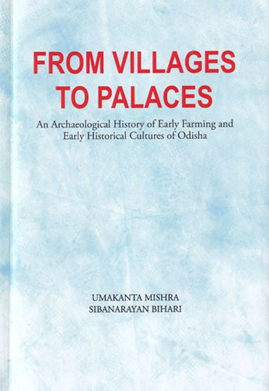 From Villages to Palaces: An Archaeological History of Early Farming and Early Historical Cultures of Odisha