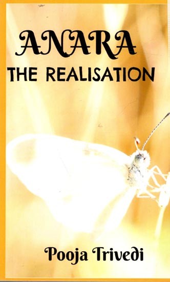 Ananra The Realisation (Novel)