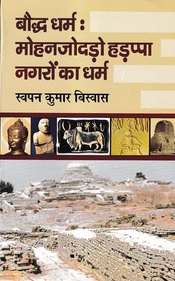 बौद्ध धर्म मोहनजोदड़ो हड़प्पा नगरों का धर्म: Buddhism Mohenjodaro Religion of Harappan Cities