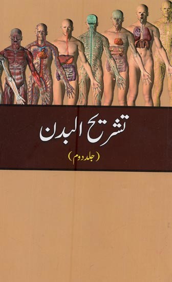 تشریح البدن: Tashreehul Badan: Vol-2 in Urdu