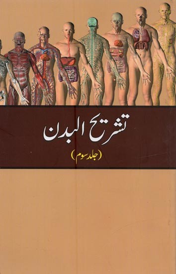 تشریح البدن: Tashreehul Badan: Vol-3 in Urdu