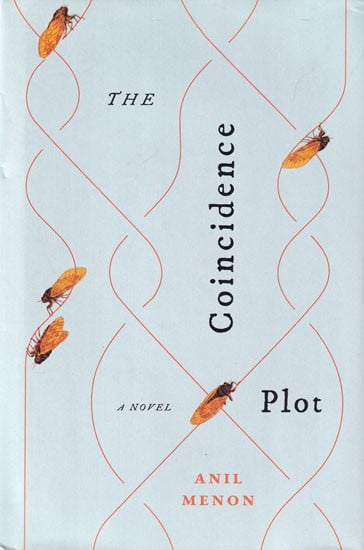 The Coincidence Plot (A Novel)