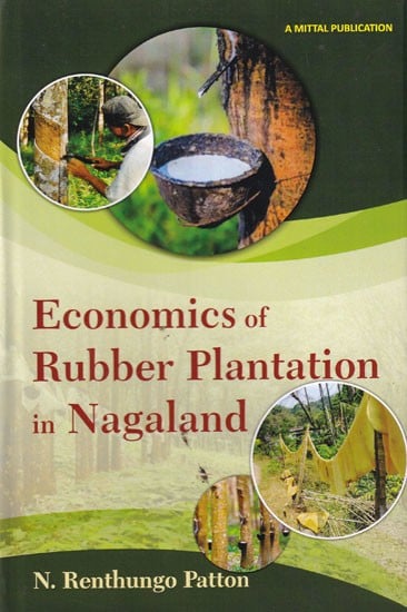 Economics of Rubber Plantation in Nagaland