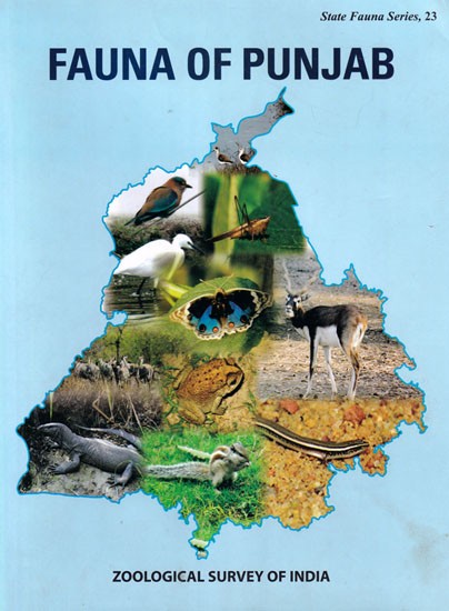 Fauna of Punjab