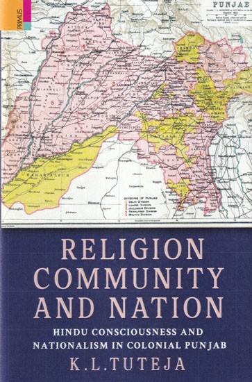 Religion, Community And Nation: Hindu Consciousness And Nationalism In Colonial Punjab
