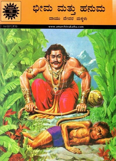 ಭೀಮ ಮತ್ತು ಹನುಮ ವಾಯು ದೇವರ ಮಕ್ಕಳು:Bhima and Hanuma sons of Vayu
