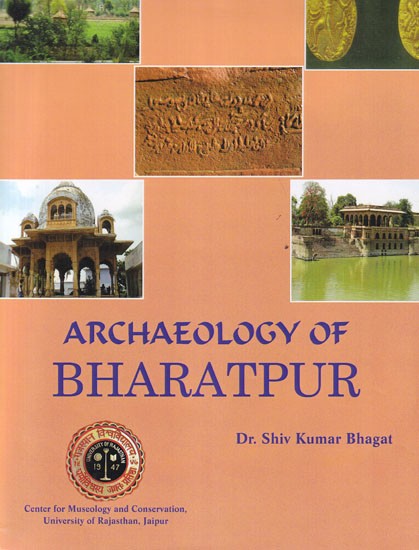Archaeology of Bharatpur