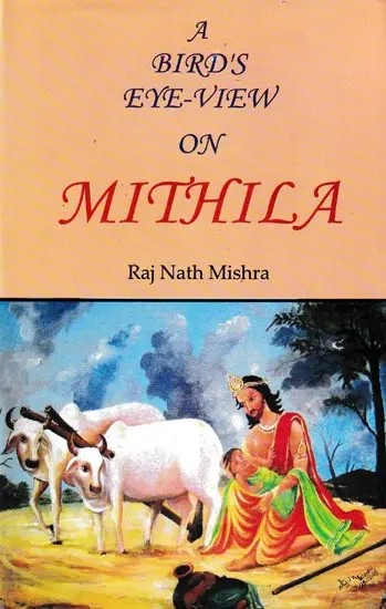 A Bird's Eye-View on Mithila