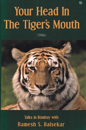 Your Head in the Tiger's Mouth