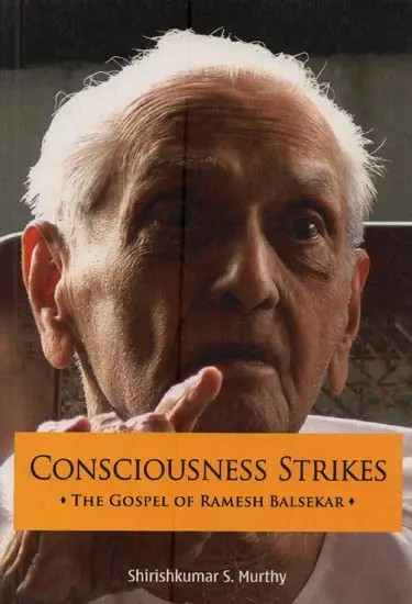 Consciousness Strikes: The Gospel of Ramesh Balsekar