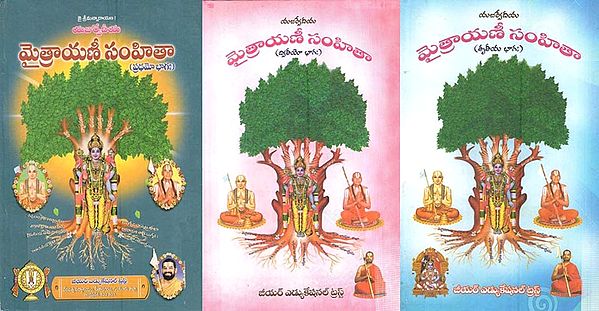 మైత్రాయణీ సంహితా: Maitrayani Samhita (Telugu) Set of 3 Volumes