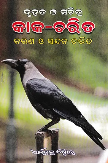 ବୃହତ ଓ ସଚିତ୍ର କାକ ଚରିତ କରଣ ଓ ସ୍ପନ୍ଦନ ସ୍ପନ୍ଦନ ଚରିତ- Large and Colorful Crow Character and Vibration (Oriya)