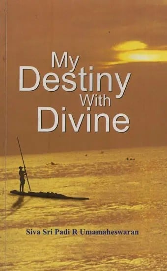 My Destiny with Divine