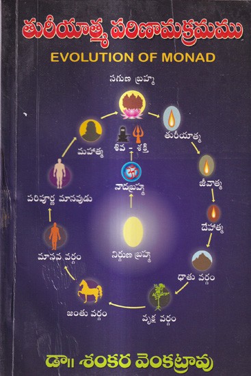 తురీయాత్మ పరిణామక్రమము: Evolution of Monad (Telugu)
