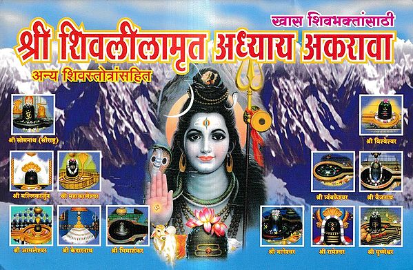 श्री शिवलीलामृत अध्याय अकरावा-अन्य शिवस्तोत्रांसहित: Sri Shivalilamrita Chapter Eleven-with Other Shiva Stotras (Marathi)
