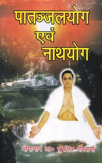 पातञ्जलयोग एवं नाथयोग: Patanjali Yoga and Nath Yoga