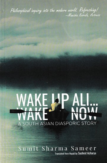 Wake Up All Wakeup Now A South Asian Daisporic Story