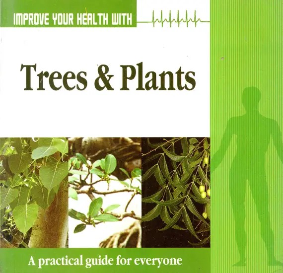 Improve Your Health with Trees & Plants (A Practical Guide for Everyone)