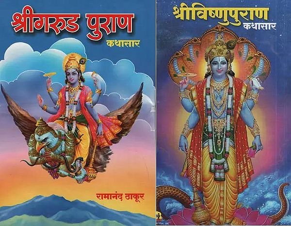 Summary of Two Puranas in Marathi