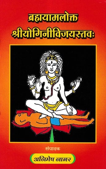 ब्रह्मयामलोक्त श्रीयोगिनीविजयस्तवः- Brahmayamalokta Shri Yogini Vijayastava