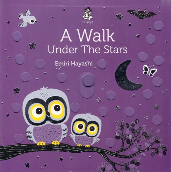 A Walk Under the Stars (Sliding Board Book)
