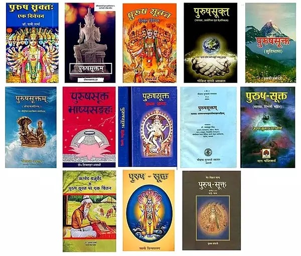 Studies in Purusha Sukta : Set of 14 Books (In Hindi)