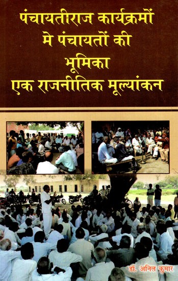 पंचायतीराज कार्यक्रमों मे पंचायतों की भूमिका एक राजनीतिक मूल्यांकन: The Role of Panchayats in Panchayati Raj Programme: A Political Assessment