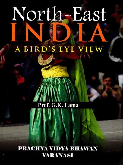 North-East India: A Bird's Eye View