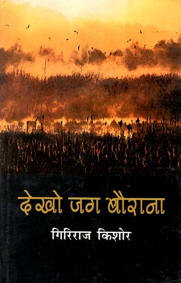 देखो जग बैराना : Dekho Jag Bairana (Collection of Articles by Giriraj Kishore)