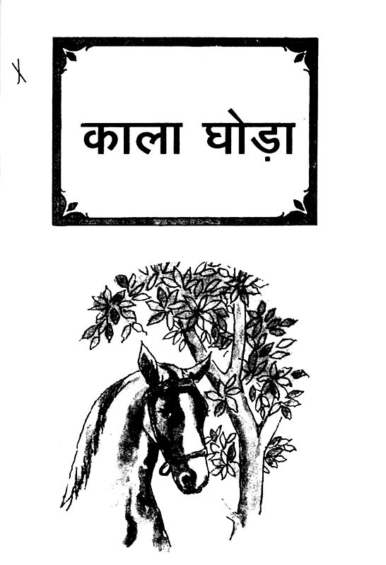 काला घोड़ा Black Horse (Hindi Translation of Famous Novel 'Black