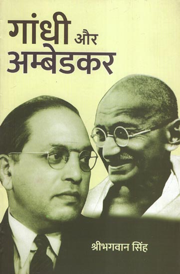 गांधी और अम्बेडकर - Gandhi and Ambedkar