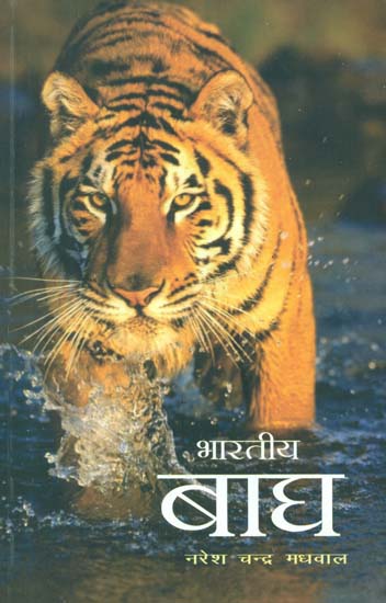 भारतीय बाघ - Indian Tiger