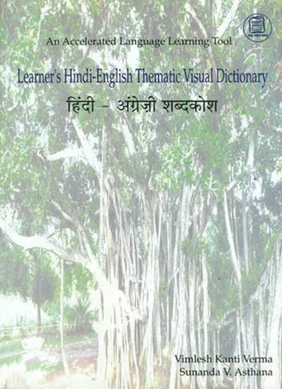 हिंदी-अंग्रेजी शब्दकोष: Learner's Hindi-English Thematic Visual Dictionary