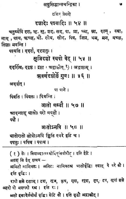 लघुसिद्धान्तचन्द्रिका: Laghu Siddhanta Chandrika | Exotic India Art