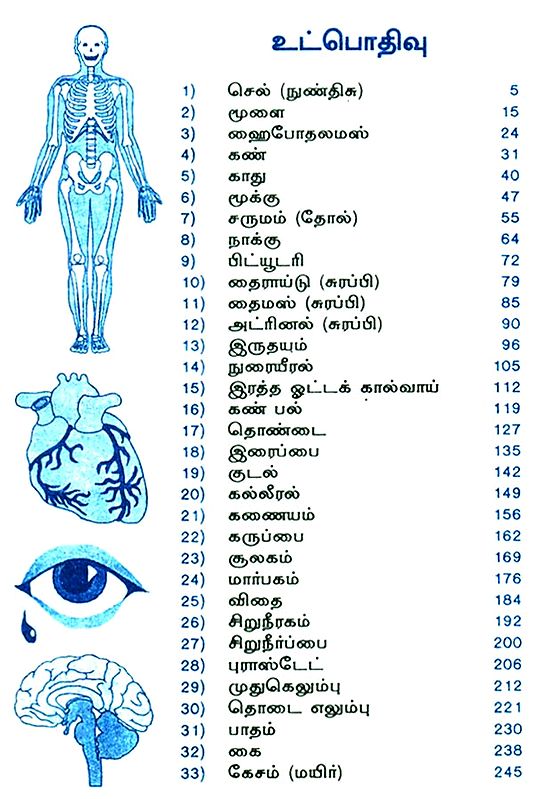 The Secrets of Human Body (Tamil) Exotic India Art
