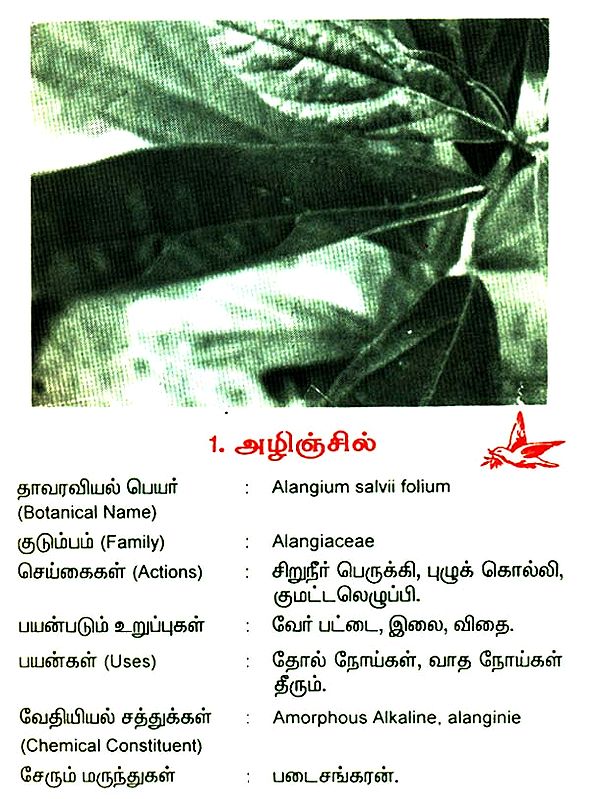 275 Herbs and Their Uses (Tamil) Exotic India Art