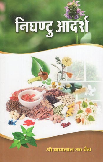 निघण्टु आदर्श: Nighantu Adarsha (Volume-2)
