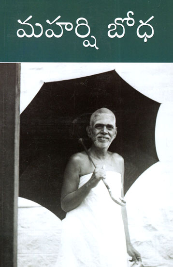 Maharshi Bodha (Telugu)