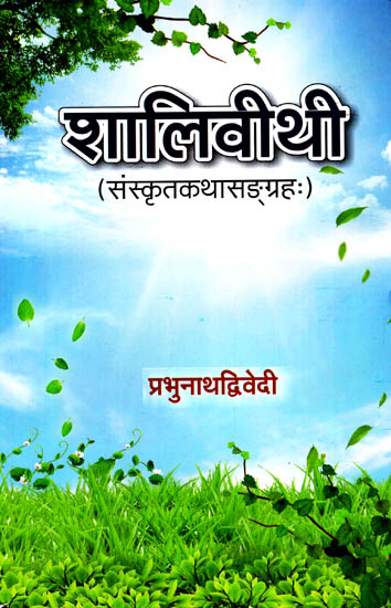 शालिवीथी: Shaliveethi (A Collection of Sanskrit Stories)