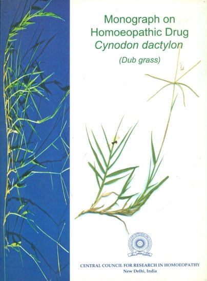 Monograph on Homoeopathic Drug Cynodon Dactylon (Dub Grass)