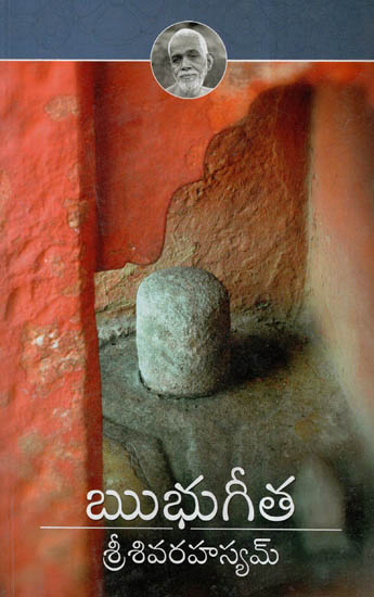 Ribhu Gita -Sri Siva Rahasyam (Telugu)