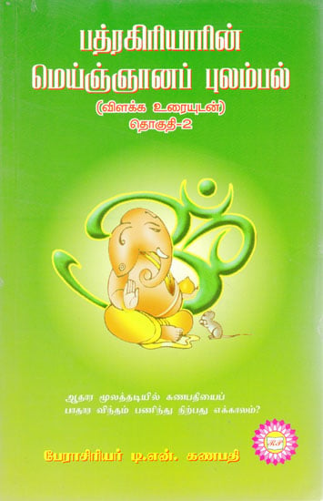 Badragiritar's Spiritual Feelings - Part 2-With Explanation (Tamil)