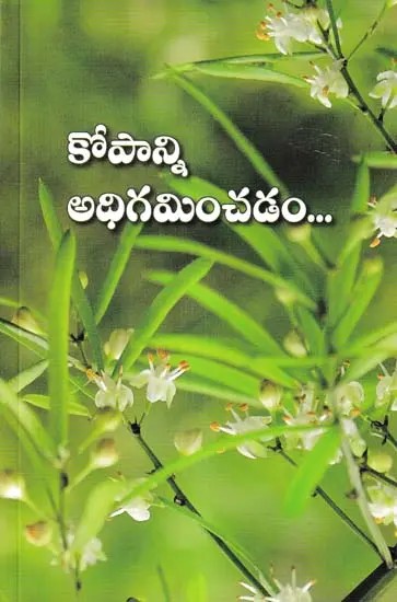 Kopaanni Adhigaminchadam (Telugu)